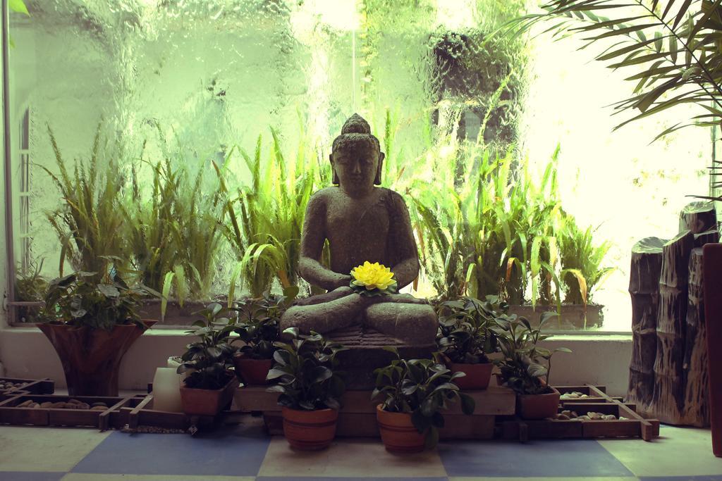 Badillo Zen Hotel Cartagena ภายนอก รูปภาพ